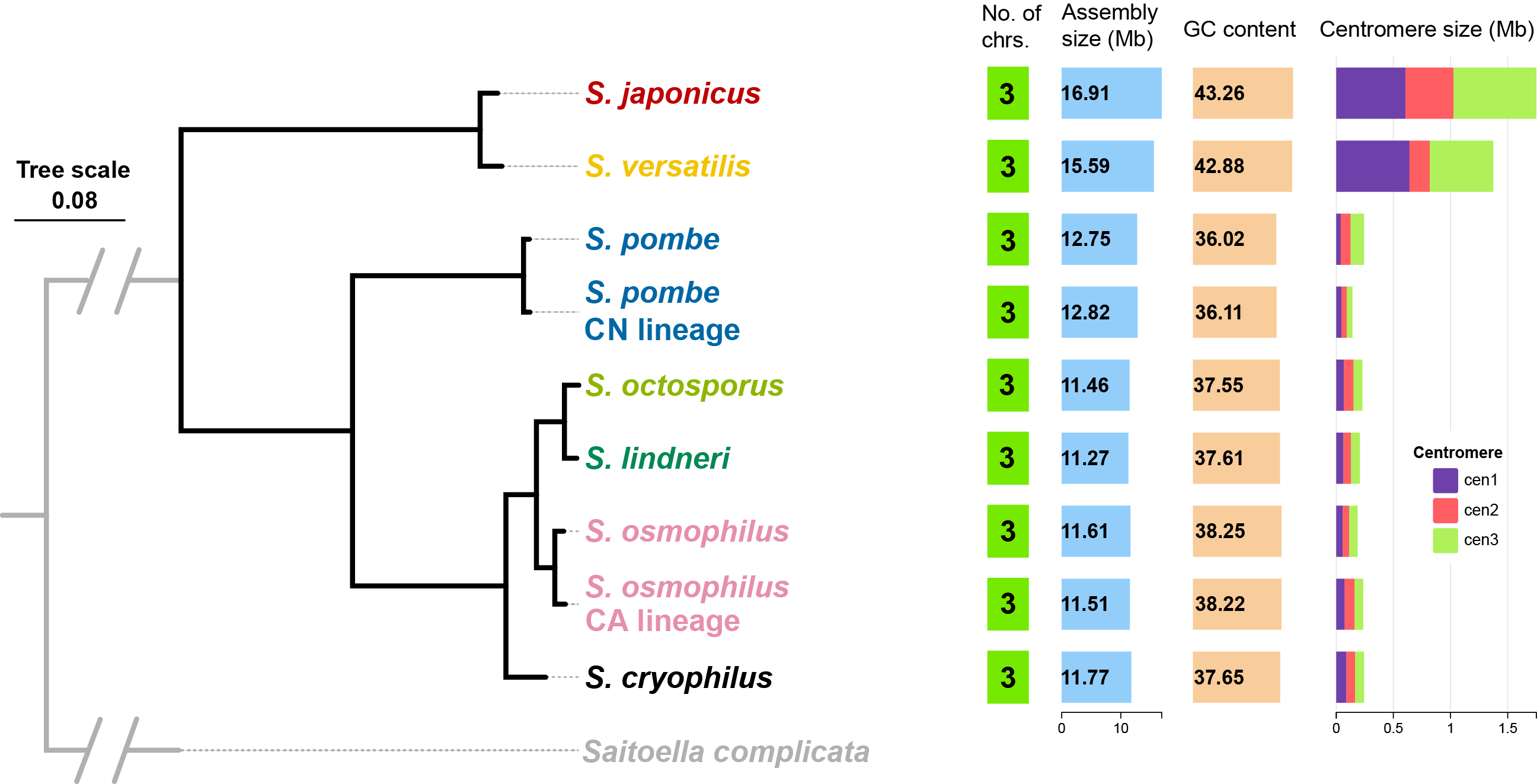 Time tree